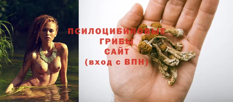 Галлюциногенные грибы Magic Shrooms  маркетплейс какой сайт  Амурск 