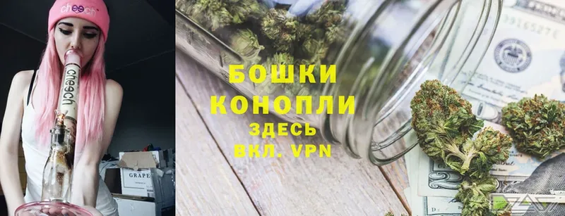 Бошки марихуана THC 21%  Амурск 